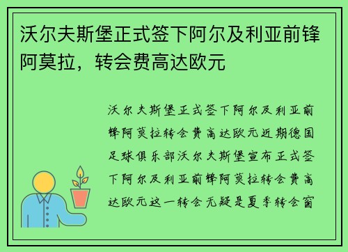 沃尔夫斯堡正式签下阿尔及利亚前锋阿莫拉，转会费高达欧元